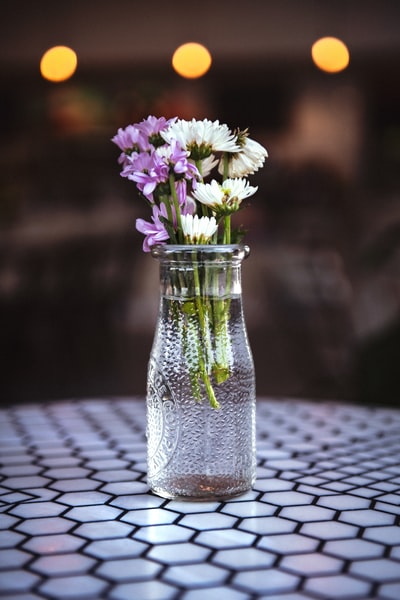 白色和紫色的花朵在透明玻璃花瓶
